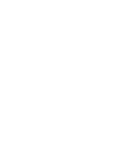VW Nutzfahrzeuge Service